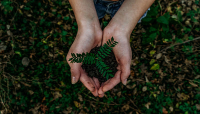 4 Cities that went green in 2020